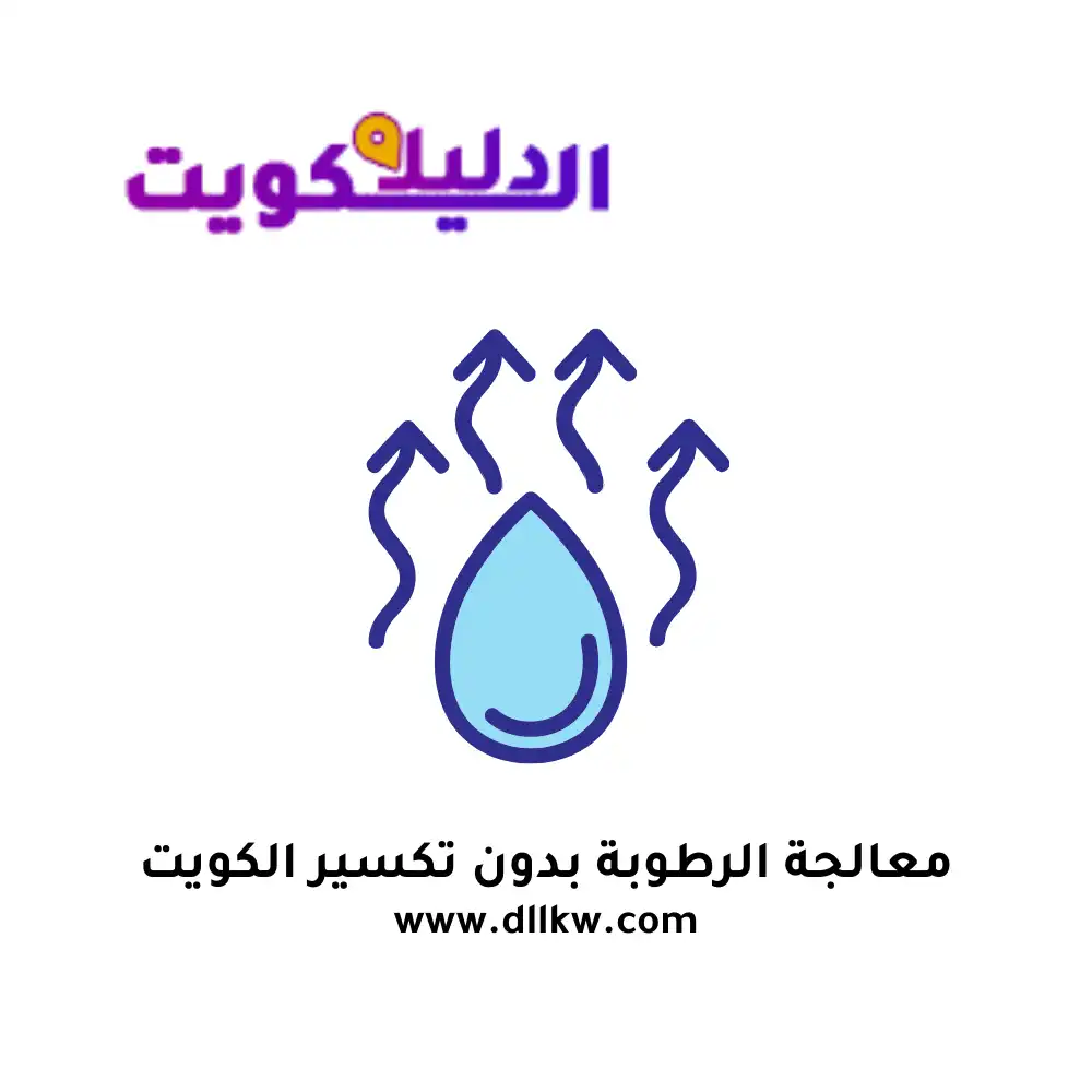 معالجة الرطوبة بدون تكسير الكويت